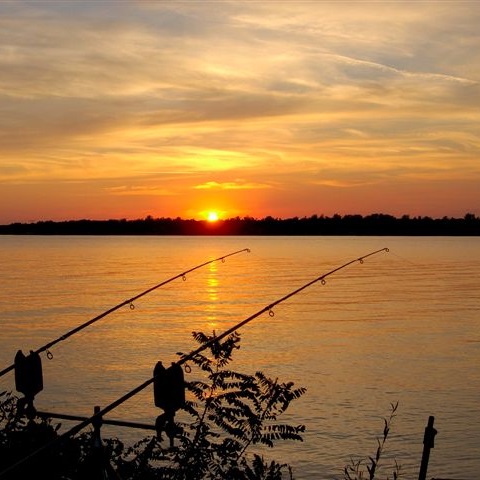 Photo 878701